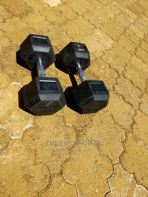 Dumbbell 12.5kg Pair Hexagon Gym Dumbbell