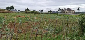 Prime Commercial 1⁄4 Plot for Sale in Chepkoilel Eldoret