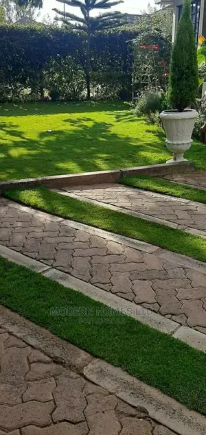Modern Homes Landscaping and Gardening Services