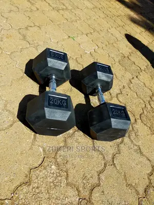 20kg Hexagon Dumbbell