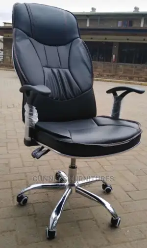 Executive Office Chairs.