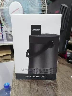 Sound Link Revolve + 2