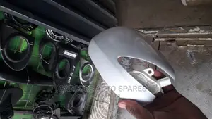 Side Mirror Covers and Indicators