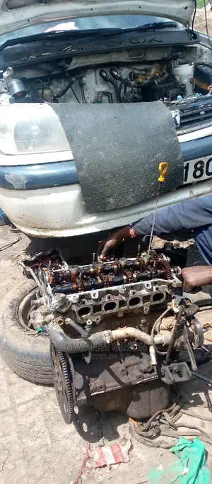 Professional Mechanic