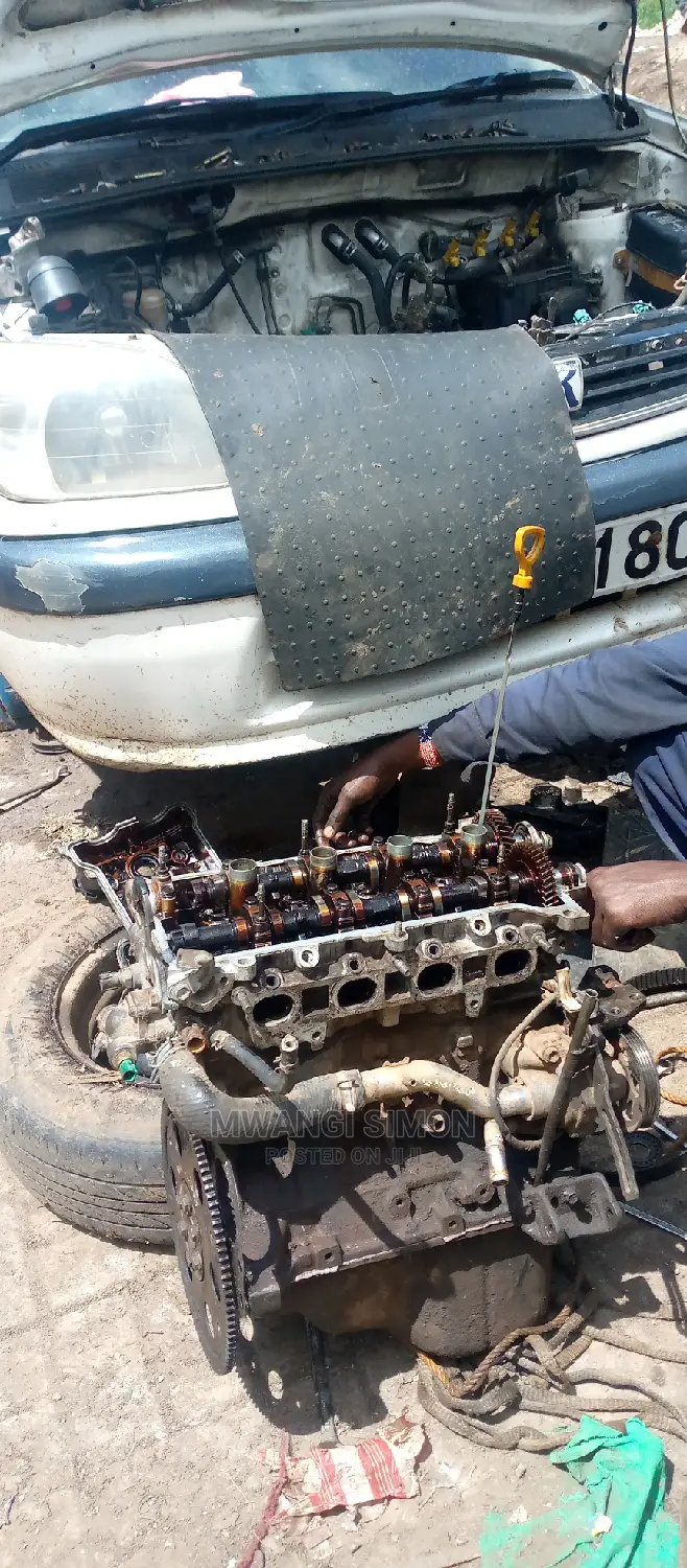 Professional Mechanic
