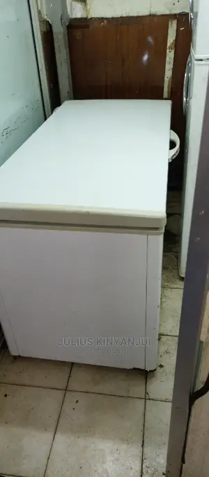 Deep Freezer 500L