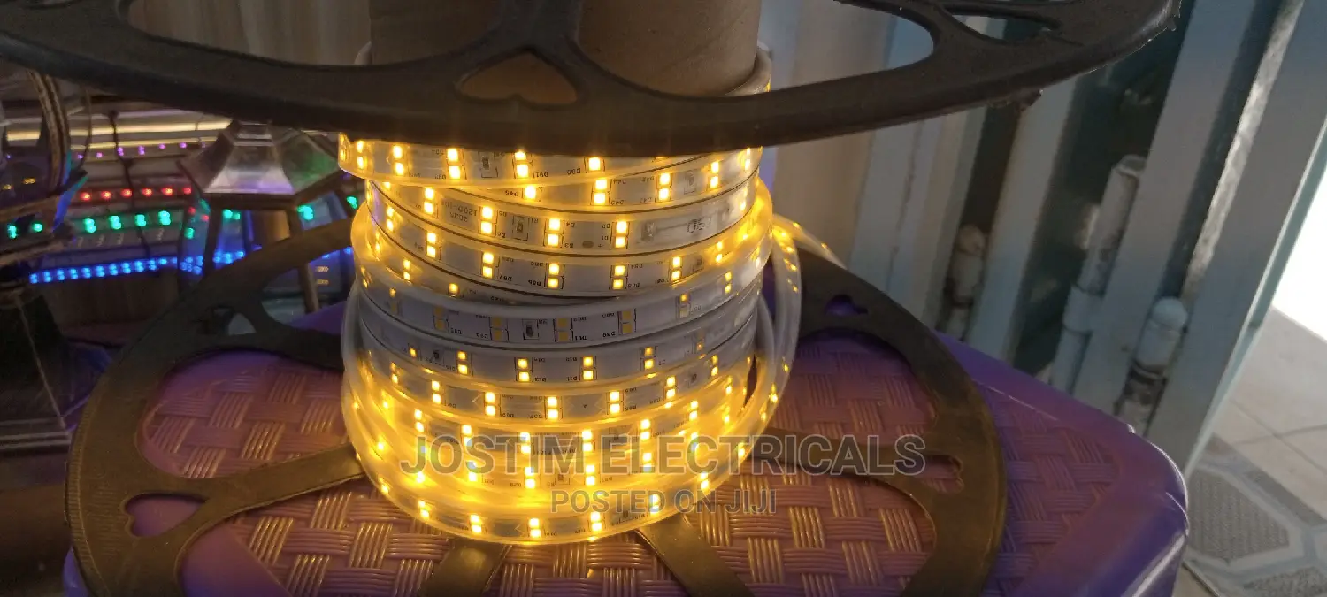 Double Line Snake Light