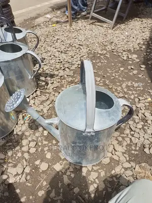 Metallic Watering Can