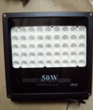 50 Wlt Floodlight