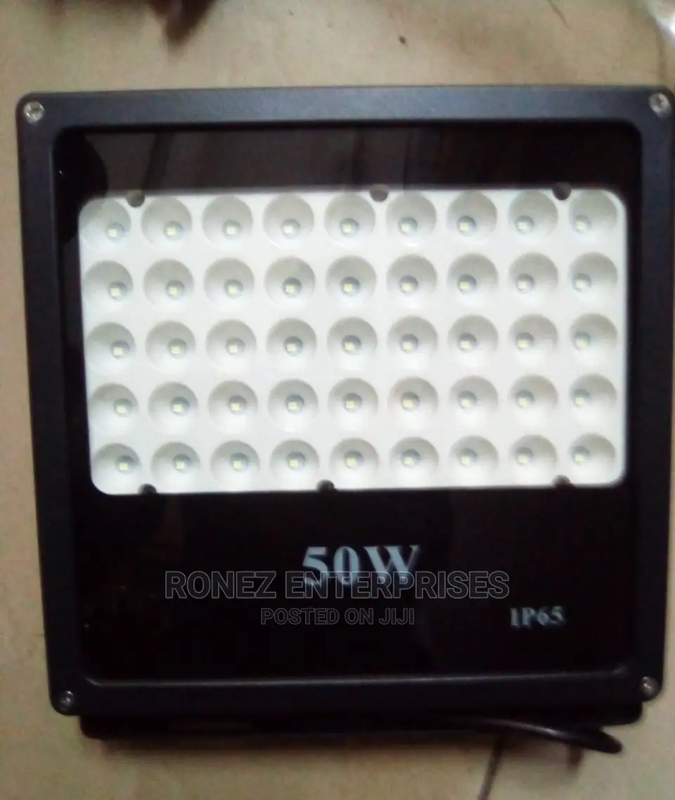 50 Wlt Floodlight