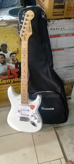 Fender Stratocaster Guitar