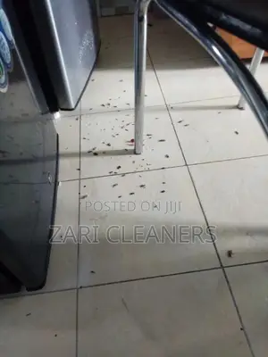 Fumigation and Cleaning