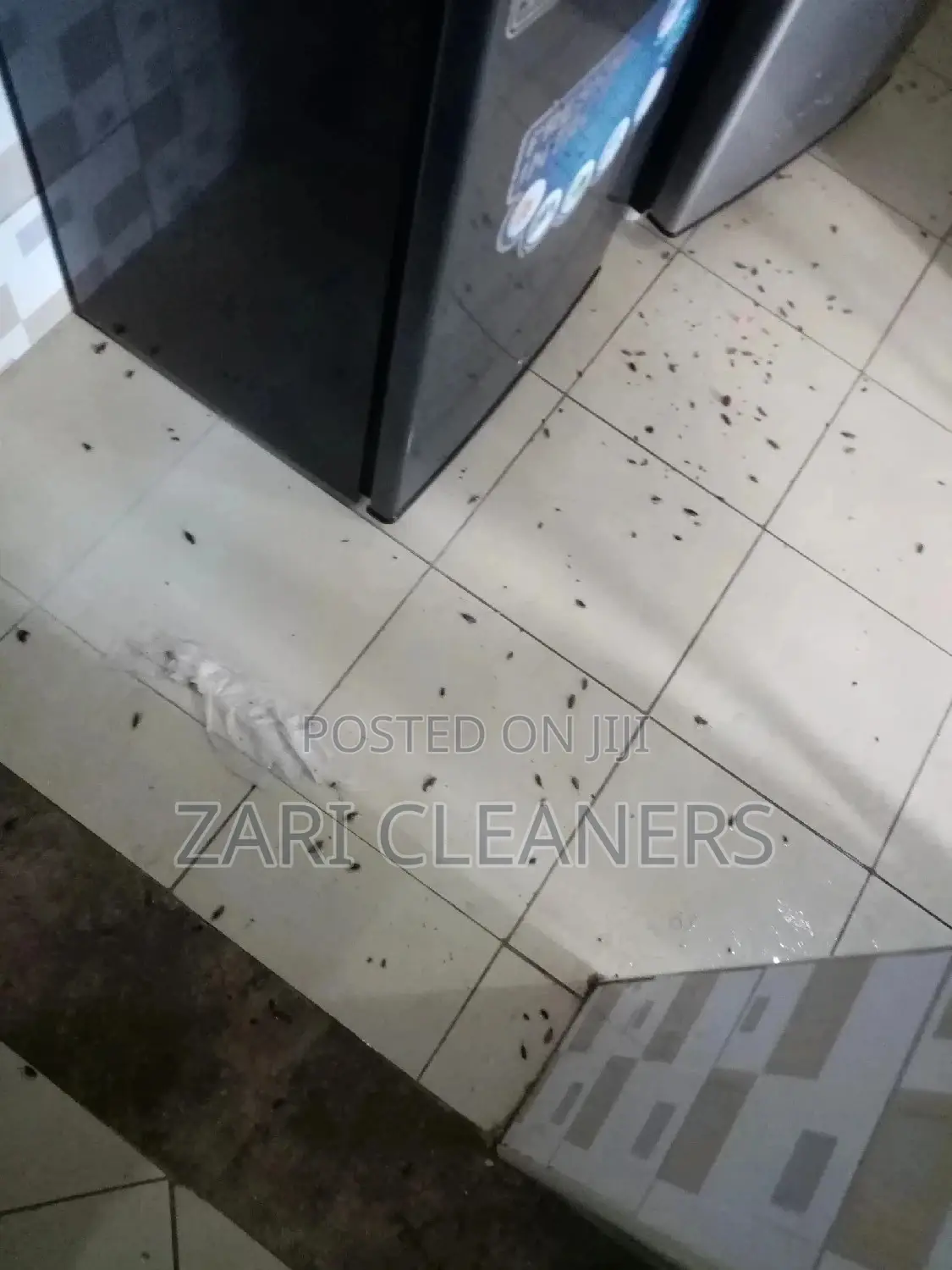 Fumigation and Cleaning