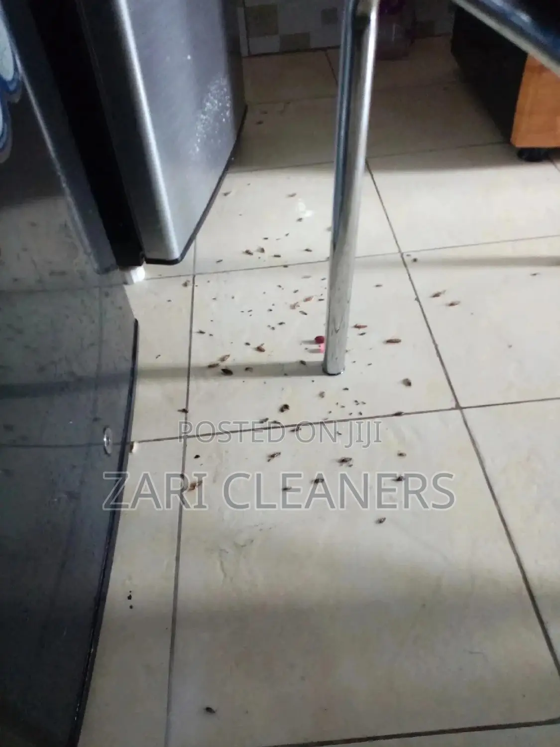 Fumigation and Cleaning