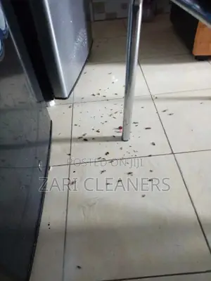Fumigation and Cleaning