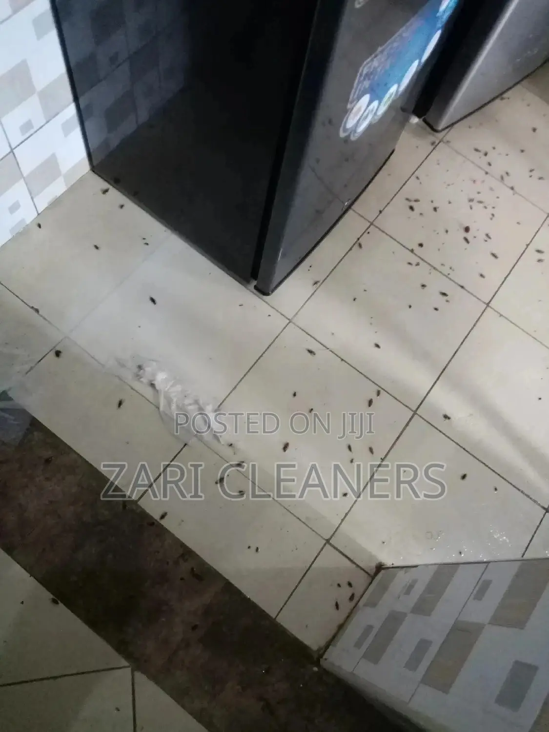 Fumigation and Cleaning