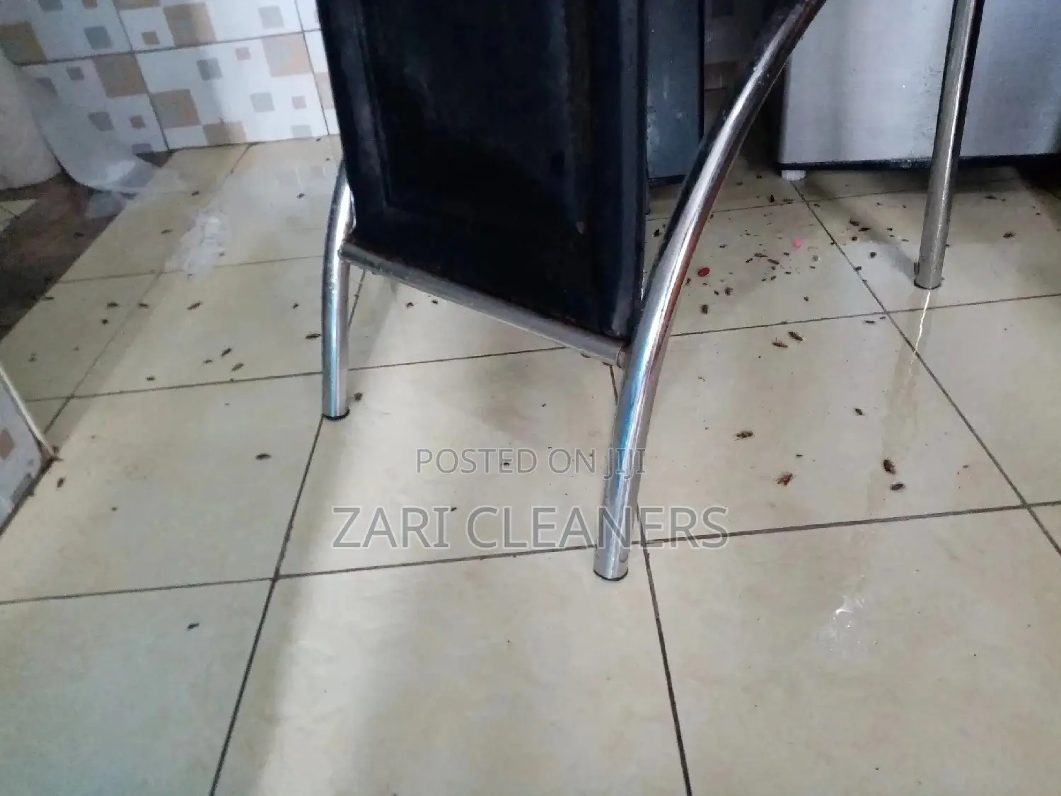 Fumigation and Cleaning