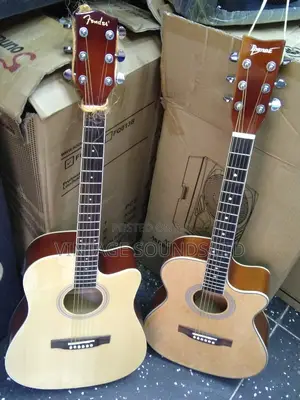 USA Semi Acoustic Guitar