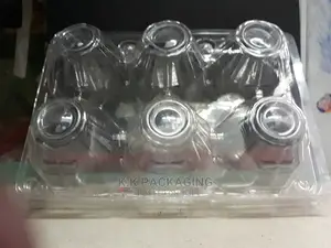 6pcs Egg Trays