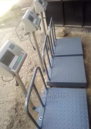 The A12 500kgs Weighing Scales With Grill