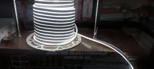 Neon Snake Light