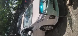 Windscreen Solution for You