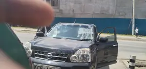 Windscreen Solution for You