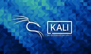 Kali Linux Installation