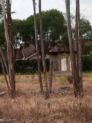 Ongata Rongai Prime Plots