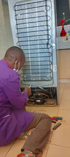 Fridge Repair Technitian