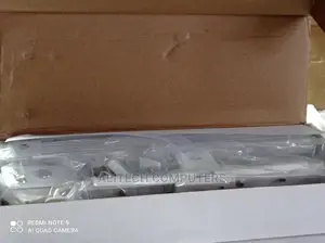 Projectors Celling Mountain