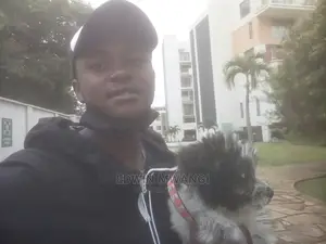 Dog Boarding