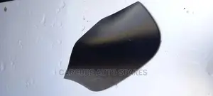 Side Mirror Covers/