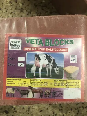 Animal Mineralized Salt Block