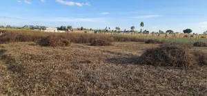 1⁄4 Plot in Gated Community for Sale in Illula Eldoret
