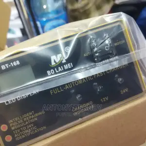 Full Automatic Fast Charger 12v and 24v