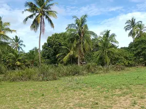 Dongo Kundu Land for Sale