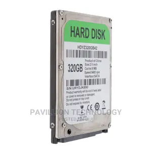 320 Gb Laptop