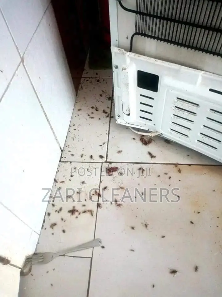 Fumigation Services Home/House