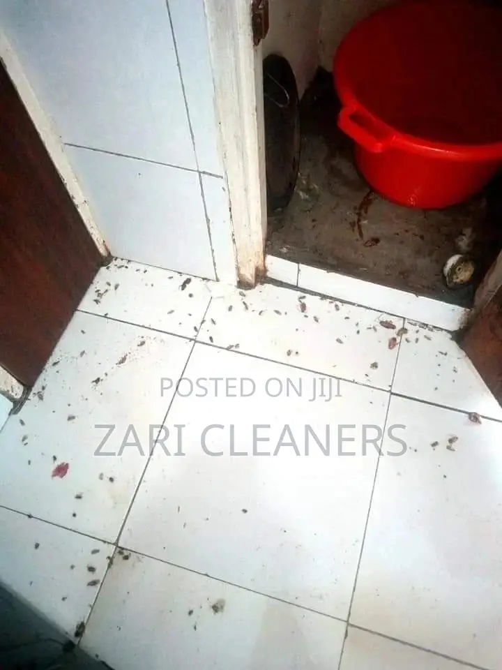 Fumigation Services Home/House