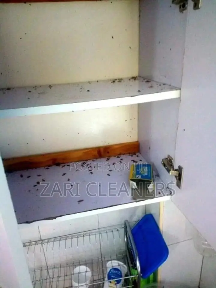 Fumigation Services Home/House