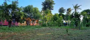 Majengo/Kanamai Plots on Sale