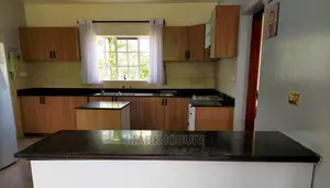 Black Granite(Silver Galaxy.)
