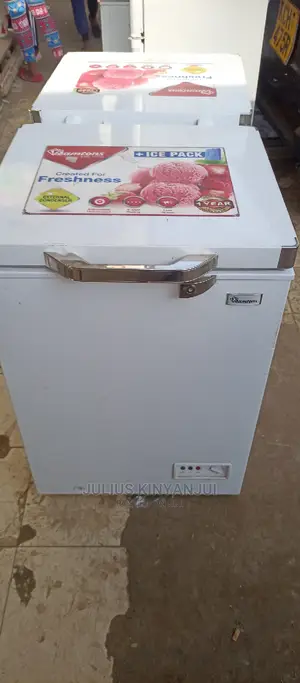 Mini Freezer 100L