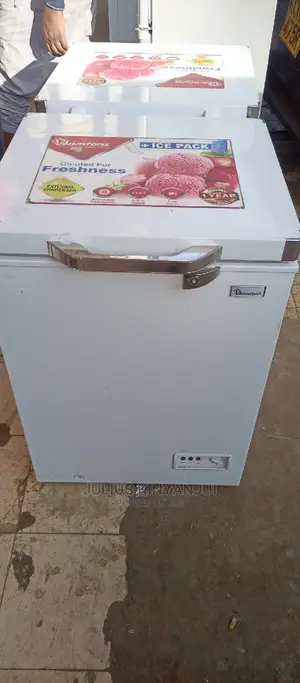 Mini Freezer 100L