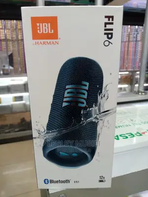 JBL Flip 6
