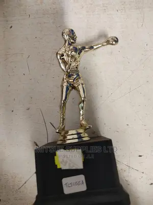 Boxing Tournament MVP Trophy-7.6"