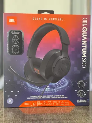 JBL Quantum 300