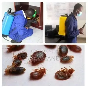 Fumigation and Pest Control Services