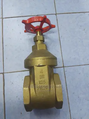 4"Peglar Gatevalve